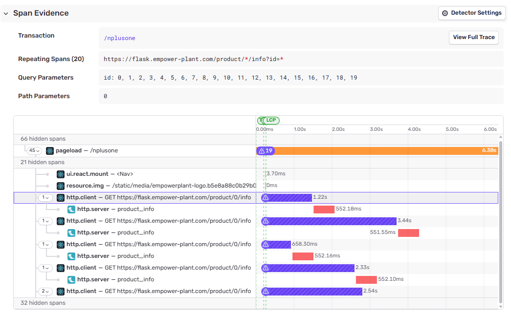 N+1 API Calls span evidence